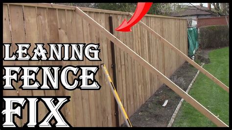 How To Fix Trellis To a Fence: A Quick and Easy .